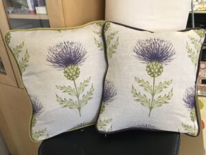 thistle-cushions